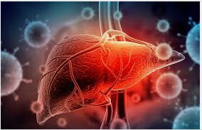 paradigmes et modes du savoir infirmier